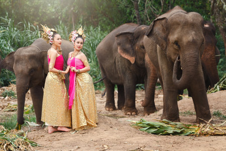Pretty thai girls in traditional thai costumes with elephantsの写真素材