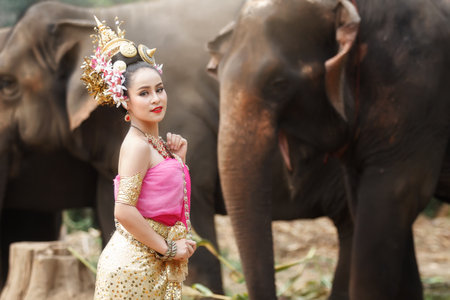 Pretty thai girl in traditional thai costumes with elephantsの写真素材