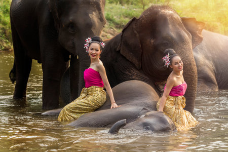 Pretty thai girls in traditional thai dress with elephantsの写真素材