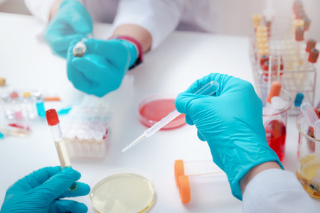 Scientist examining solution in petri dish at a laboratory. Doctor examines coronavirus test on petri dish in hospital.の写真素材