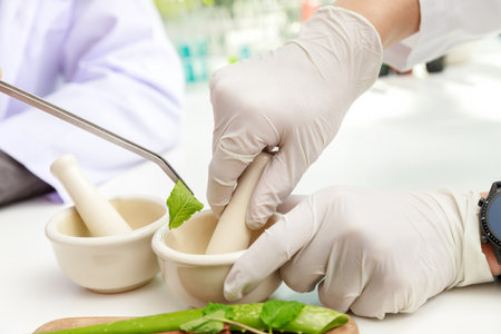 The scientist or doctor make herbal medicine from herb in the laboratory on the table. Herb medicine with herbal the organic natural in the laboratory.の写真素材