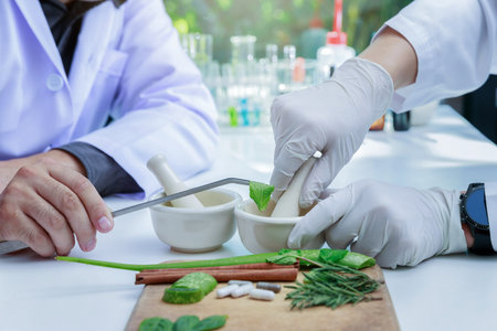 The scientist or doctor make herbal medicine from herb in the laboratory on the table. Herb medicine with herbal the organic natural in the laboratory.の写真素材