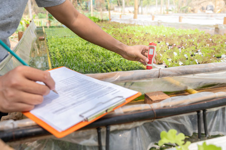 Smart agriculture technology concept - Farmer ckecking water ph value of organic hydroponic plant...