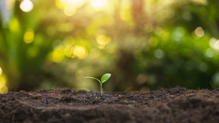 Green sprout growing from seed. Seedling Young plant growing in garden. Green world and earth day...