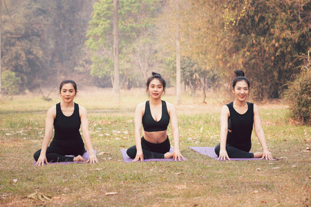 Group of asian women doing yoga on mat in outdoor park. Healthy lifestyle concept.の写真素材