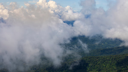 Stunning aerial view of lush green mountains blanketed by a sea of clouds. The serene landscape creates a breathtaking atmosphere, perfect for nature lovers and adventurers.の写真素材