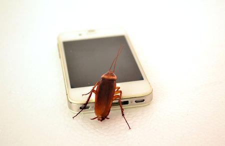 Cockroach play its smartphone