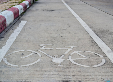 Bike lane in the park
