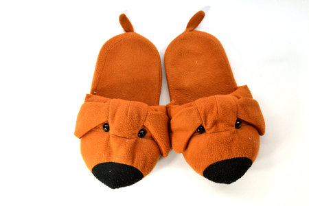 Brown dog slipper on white backgroundの写真素材