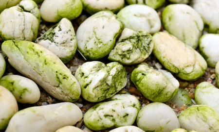 White stone with moss background textureの写真素材