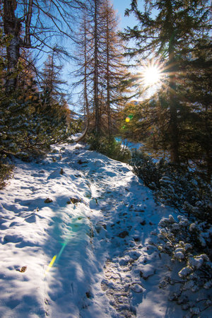 Autumn lights with first snow Karwendel mountainの写真素材