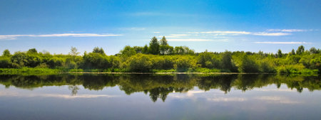 Lake coast in clear solar summer dayの写真素材