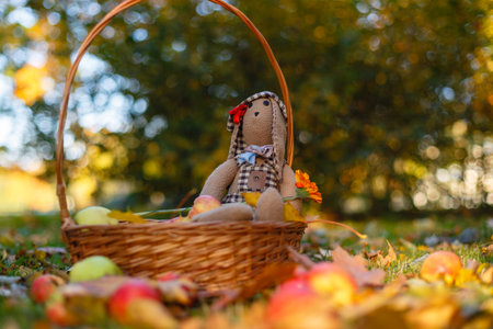 Teddy bear sits inside a wooden basket with apples on the autumn grass and a pile of yellow autumn leaves . Basket with delicious fruits in the autumn Park. Close-up and blurred backgroundの写真素材