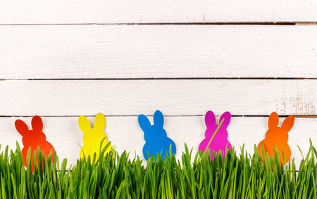 Easter Bunny hidden in the grass. Natural grass on white wooden background. happy Easter. Place for text.の写真素材