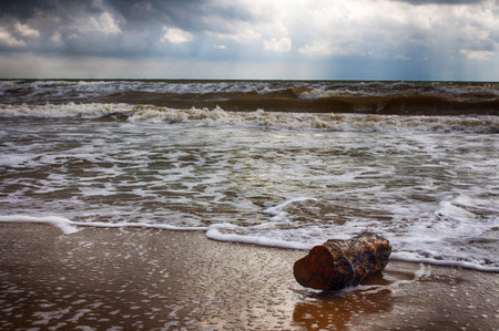Storm on the beach, muddy sea throws a log on the shore.の写真素材