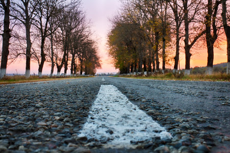 Road. Asphalt road among autumn trees. Road marking. Dawn.