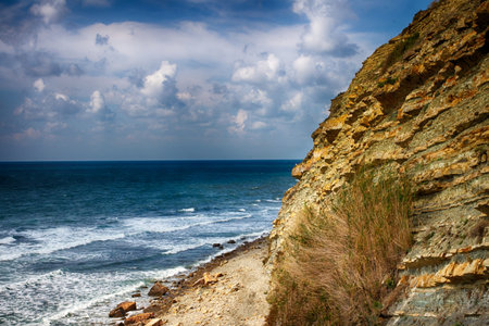 Seascape, clear sky. Summer panorama, green vegetation. Calm sea.の写真素材