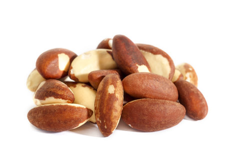 Brazil nut. Bertholletia, of the family Lecythidaceae. High-calorie nut. Isolated on white background.の写真素材