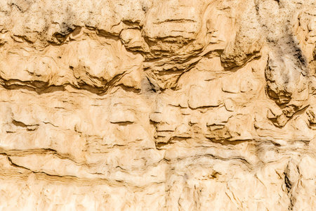 Close up of sandstone texture. Abstract background and texture for design.の素材