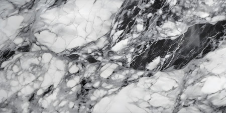 Black and white marble texture background pattern with high resolution, counter top view.の素材