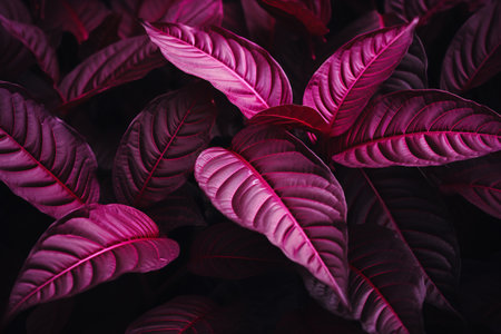 Purple leaves background, Color of the year 2019 - Living Coralの素材