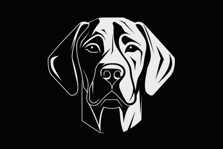 Labrador Retriever head isolated on black background. Vector illustration.の素材