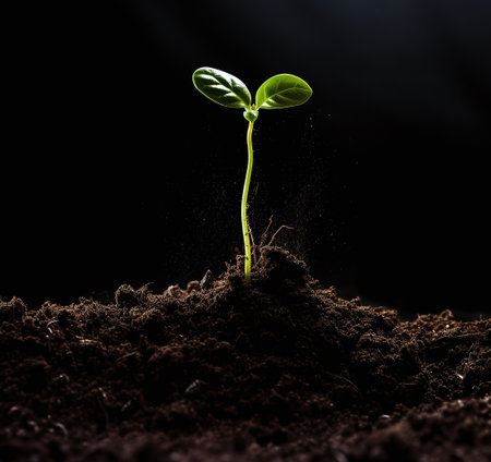 Green seedling illustrating concept of new life and development over black backgroundの素材