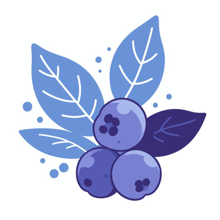Blueberry fruit and leaves vector illustration graphic design vector illustration graphic designの素材