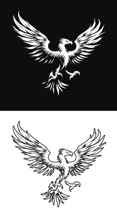 Flying eagle with wings open. One version is black and white, the other is reversed. Vector illustrationの素材
