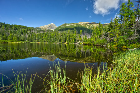 Jamske tarn