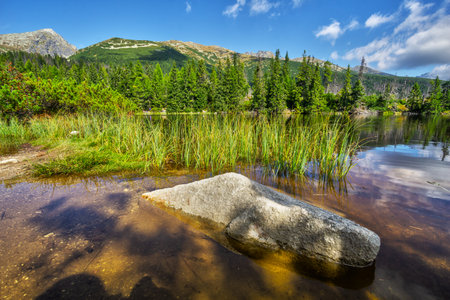 Jamske tarnのeditorial素材