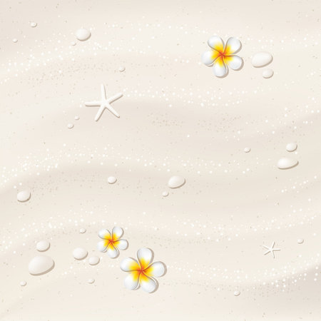 White vector sand background with details. Beach with frangipani flowers, stones and starfishのイラスト素材