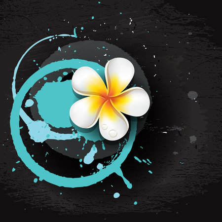 Grunge black wall with white asian frangipani flower and blue colored round brush blots, vector template for party invitation, poster, flyer or banner designのイラスト素材