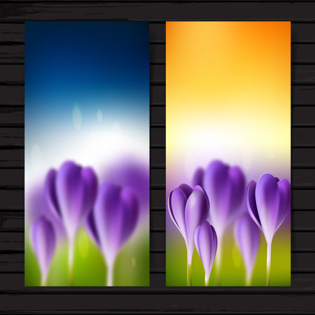 Crocuses vertical banner set, vector bright flower flyer template summer background with place for textのイラスト素材
