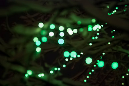 Green street Christmas illumination on a tree, dark night festive bokeh backgroundの写真素材