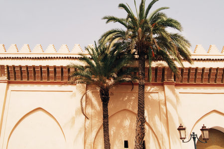 Wall with classic moroccan decoration and palm trees, Marrakesh city elementsの写真素材