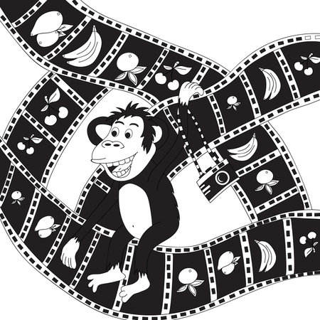 Monkey with camera.Vector illustration, black and white, hand-drawnのイラスト素材