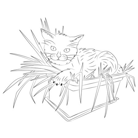 A cat lies in a flower pot.Vector illustration, abstract, black outline on a white background, hand-drawnのイラスト素材