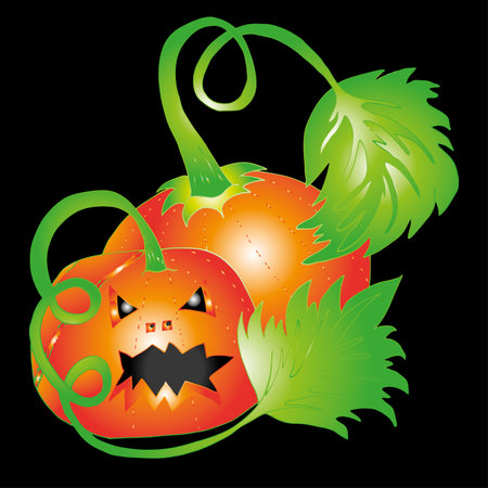 Pumpkin for Halloween. Hand drawn sketch. Clear outline.のイラスト素材