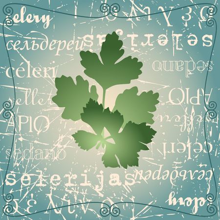 Sprig of celery on a text background.のイラスト素材