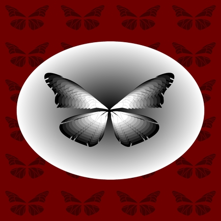 Black and White Butterfly in an ellipse on a red backgroundのイラスト素材
