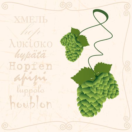 Sprig of hop in vintage styleのイラスト素材