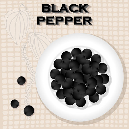 Vintage label for Black Pepperの写真素材