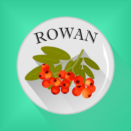Rowan seasoning sticker flat icon vector imageのイラスト素材