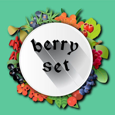Round banner with berry set. Sea buckthorn, lemongrass, juniper, wild rose, barberry, mountain ash, chokeberry, hawthorn shadberry Vector color illustrationの写真素材