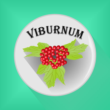 Vibarnum seasoning sticker flat icon vector image on gray and green background colorのイラスト素材