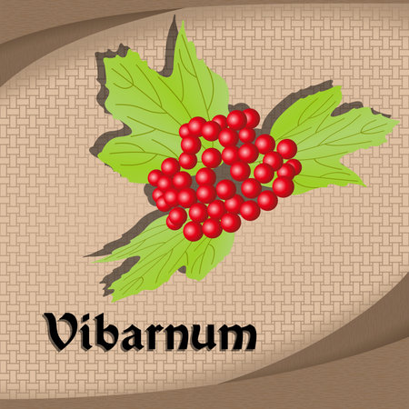 Label sticker with seasoning vibarnum vector image vintage style colorのイラスト素材