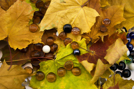 Glass balls on autumn foliageの写真素材