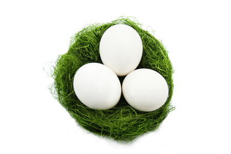 Nest isolated on a white backgroundの写真素材