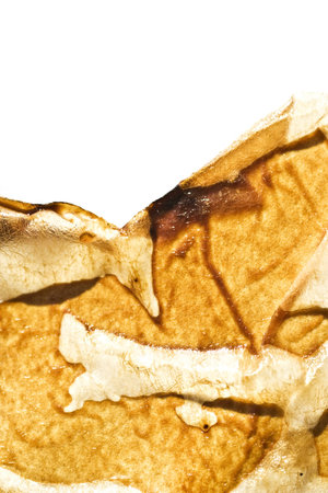 Sheet of paper with the scorched edgesの写真素材